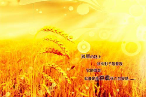 全本如果告别不能笑着说：免费在线（颜书逸宋雯沁）最新章节列表_全本如果告别不能笑着说：免费在线全文阅读