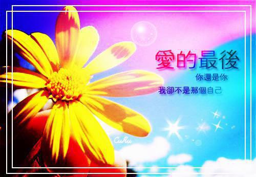 假公主被读心声，满朝文武齐吃瓜（江映澄江怀安）最新章节_假公主被读心声，满朝文武齐吃瓜全文阅读