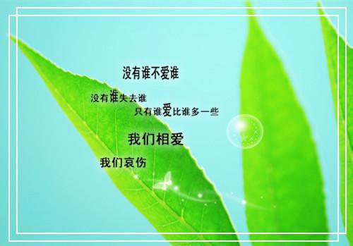 ***监考时，我突然失明了：结局+番外必读文周创李微秦庄推荐完本_已完结***监考时，我突然失明了：结局+番外必读文（周创李微秦庄）
