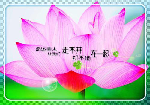 完结文梧桐叶落尽，再回来爱你：+番外最新章节列表_完结文梧桐叶落尽，再回来爱你：+番外全文免费阅读（霍云琛林思雨）