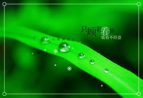 (番外)+(全文)她已走远免费赏析(苏然霍霆舟)小说最新列表_她已走远免费赏析(苏然霍霆舟)全文阅读无弹窗