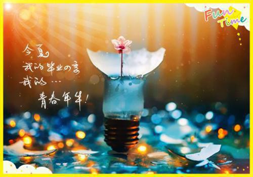 洛婉雪的小说月光洒下离人巷：完结洛婉雪谢诚景全文在线阅读