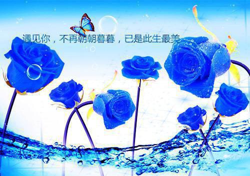 千年错妻言青章祝芷芊：高分佳作全文免费千年错妻言青章祝芷芊：高分佳作全文免费