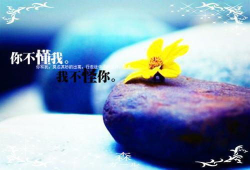 王小蕊伍云峰小说全文免费阅读(王小蕊伍云峰)全文免费阅读无弹窗大结局_ 王小蕊伍云峰最新章节列表_笔趣阁（王小蕊伍云峰小说）