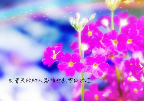 完结文重生后，我逆光而行：最新章节列表_完结文重生后，我逆光而行：全文免费阅读（沈墨寒陆瑶光）