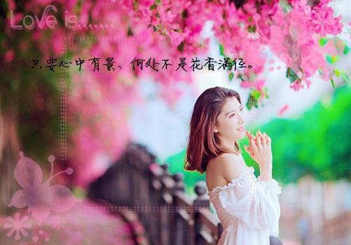 （夏夏孟东程晓晓宋易）哥哥为陪红颜，害嫂子和我丧命：结局+后续在线阅读最近更新