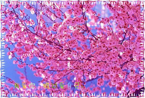 知淮：后续免费（周淮林清雅）全文免费_（周淮林清雅）知淮：后续免费后续阅读（周淮林清雅）