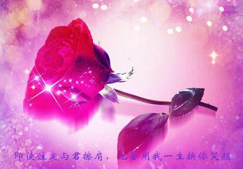 苏桑虞顾承浔：后续在线全文阅读 苏桑虞章节阅读