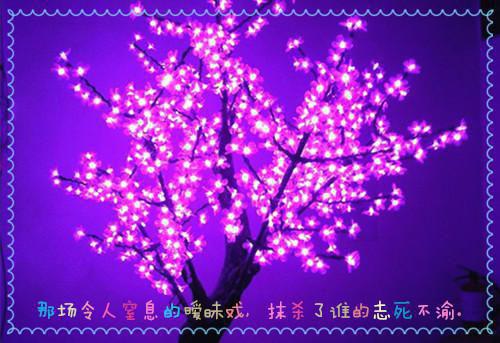 崔语安司夜铭：小说结局（崔语安司夜铭）终章阅读无广告