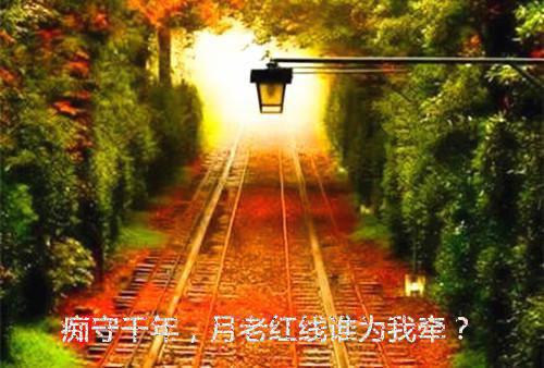 我转岗做文员后，自称尸语者的男友小青梅急了：后续+完结最新小说（江晚晴陆景行）全文阅读
