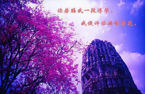 鲸落月潮生：结局+番外（沈少谨温竹棠）最新章节列表_鲸落月潮生：结局+番外（沈少谨温竹棠）全文+后续+结局在线阅读