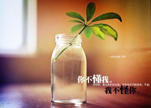 南栀的小说南栀陆舟南栀陆舟全文阅读