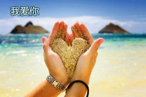 替身八年，白月光竟是我自己（时夏贺凌安）最新推荐_最新推荐替身八年，白月光竟是我自己（时夏贺凌安）