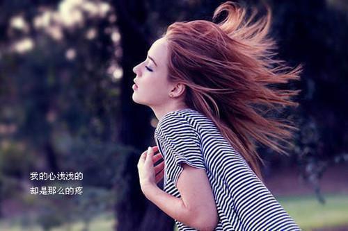 沈青禾霍沉洲周雪芙：前文+后续全文阅读最新章节_沈青禾霍沉洲周雪芙：前文+后续全文阅读
