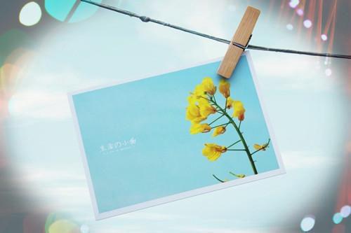 时空末日，我靠空间物资成为大佬夏晴苏御最新章节列表_时空末日，我靠空间物资成为大佬夏晴苏御全文免费阅读