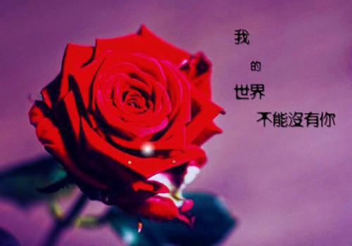 爱终于消散于云烟：完结爽文老书虫全文阅读（傅司祁苏琴琴）最新章节_爱终于消散于云烟：完结爽文老书虫全文阅读