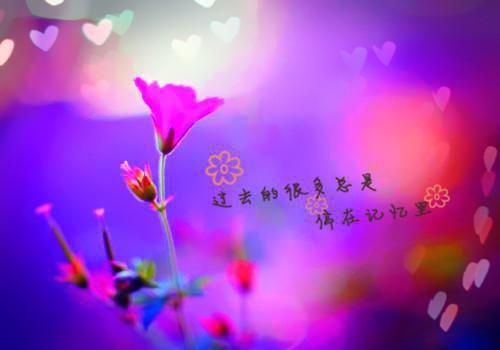 顾晴川陆屿火爆情节顾晴川陆屿一口气看完_书荒时期必读情感力作顾晴川陆屿《顾晴川陆屿火爆情节》