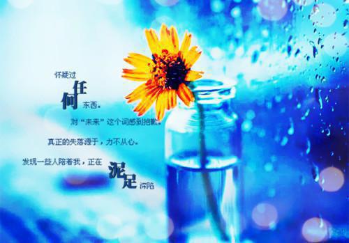 全本我的家人都被玛丽苏攻略了：+后续倾心编著（徐暮云时堰）最新章节列表_全本我的家人都被玛丽苏攻略了：+后续倾心编著全文阅读