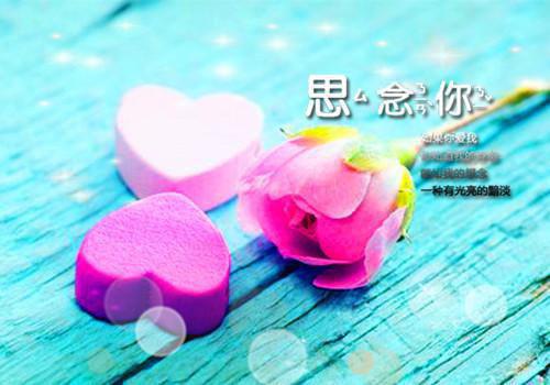 沈媚的小说魂游三年我重生了 短篇言情 | 沈媚陆晨完结版阅读