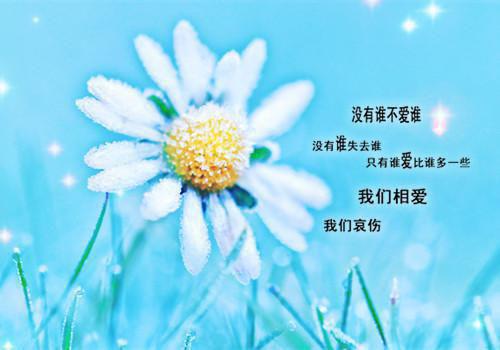 (番外)+(全文)三更雨碎同心结：免费阅读无弹窗(林淮月陆方明)小说最新列表_三更雨碎同心结：免费阅读无弹窗(林淮月陆方明)全文阅读无弹窗