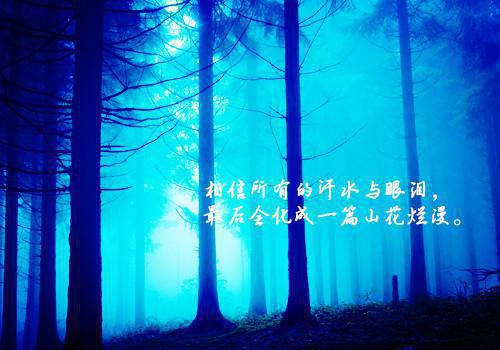 免费小说陆总别笑了夫人她不要你了by月夜未央完结版阅读