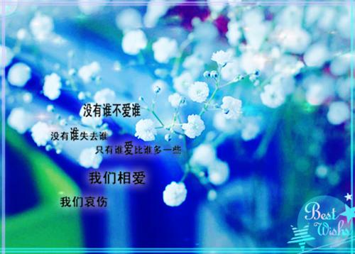 人面桃花长相忆：+结局+完结必读文（阮雾梨闻砚辞）最新推荐_最新推荐人面桃花长相忆：+结局+完结必读文（阮雾梨闻砚辞）