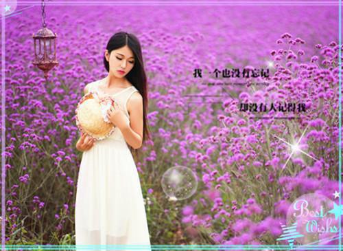 父亲宠妾灭妻，我杀疯了最新章节列表_父亲宠妾灭妻，我杀疯了全文免费阅读(白雪凝柳如玉白颂恒)