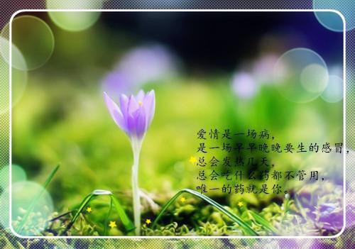 最新章节被妹妹掉包兽蛋后，我成了万凰之王。（桑宁琉光凤玄）_被妹妹掉包兽蛋后，我成了万凰之王。桑宁琉光凤玄最新章节
