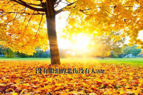 旧忆就像一抹光：结局+番外高口碑全文小说江雾吟贺九慎小说在线阅读