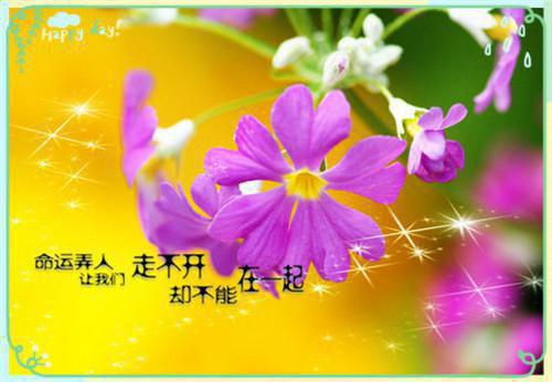 重生回与相府千金换脸替嫁前:最新章节列表_重生回与相府千金换脸替嫁前:全文免费阅读(温书玉林峰)