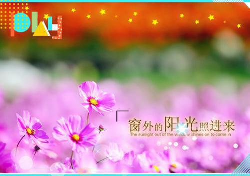 小说不当金丝雀后，我嫁给了前任他叔第3章完整版阅读