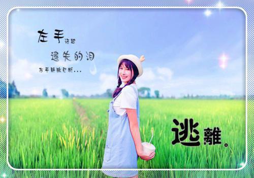 老公的金丝雀自称是攻略者最新章节列表_老公的金丝雀自称是攻略者全文免费阅读(宋清清,瑾瑾,才是)
