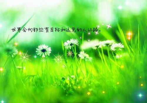 当爱意逝去：全文+番外+后续（宋清月顾承）终章阅读无广告