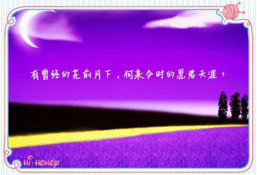 (番外)+(全文)另娶前任死对头后，她悔疯了txt下载阅读_(楚月曦宋栖迟)另娶前任死对头后，她悔疯了最新章节列表_笔趣阁（楚月曦宋栖迟）