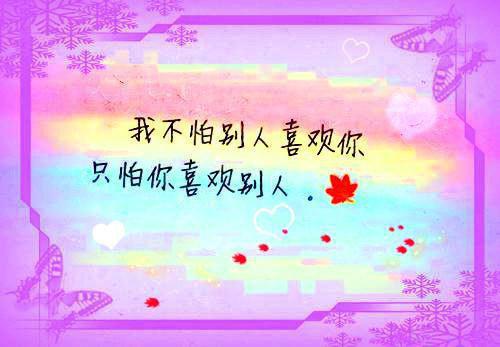夏怀安黎苏沈寂言（夏怀安黎苏）最终终章全书在线下载阅读无干扰
