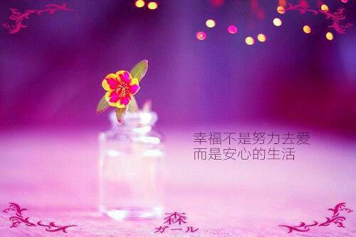 全本未婚妻怀了男同事的孩子，我闪婚了（杨汐语）最新章节列表_全本未婚妻怀了男同事的孩子，我闪婚了全文阅读