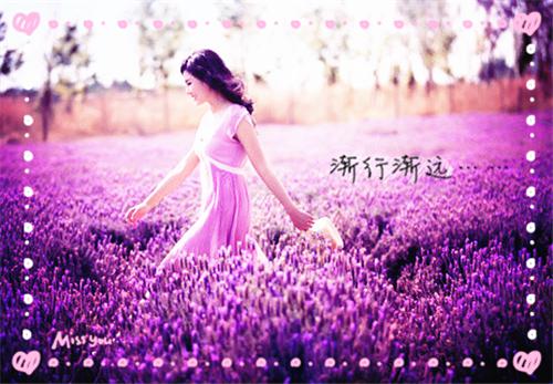 离婚出国后，总裁妻子疯了（顾乘风柳青栀）最新推荐_最新推荐离婚出国后，总裁妻子疯了（顾乘风柳青栀）