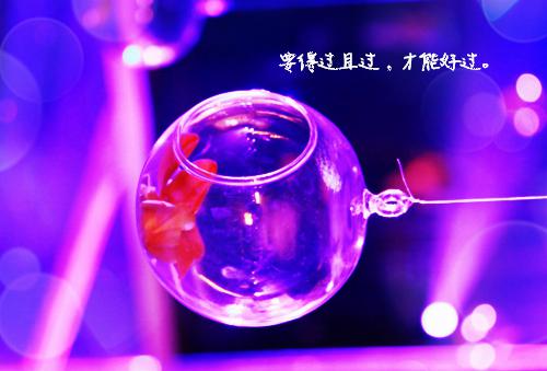 瓜主自爆发癫，我被国家收编最新章节列表_瓜主自爆发癫，我被国家收编全文免费阅读(谢姜闻谨行)