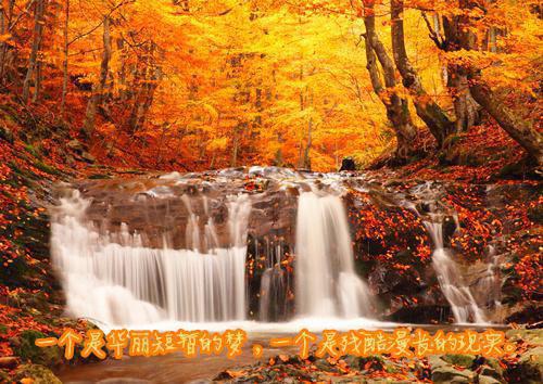 完结文黄泉情难渡叶北宸：最新章节列表_完结文黄泉情难渡叶北宸：全文阅读