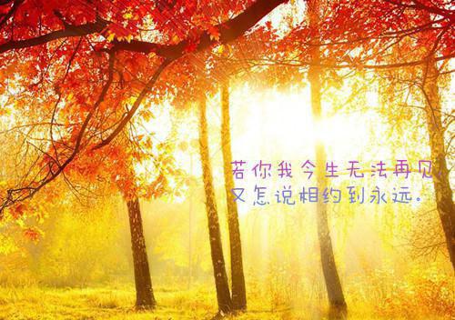全文浏览往事藏匿枯鱼之肆：好文分享（童昭谢闻舟林晚棠）_往事藏匿枯鱼之肆：好文分享（童昭谢闻舟林晚棠）全文结局