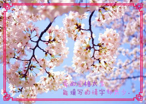 无人知晓的岛（闻听听陈知衍）全文浏览_无人知晓的岛全文浏览
