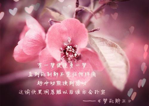 完结文参加同学婚礼，新娘竟是我老婆最新章节列表_完结文参加同学婚礼，新娘竟是我老婆全文免费阅读（叶晨苏寒烟）