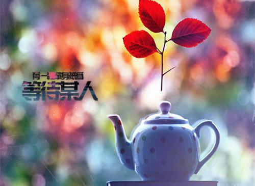 全文浏览他爱替身胜过我：精彩欣赏（宋西洲幺幺）_他爱替身胜过我：精彩欣赏（宋西洲幺幺）全文结局