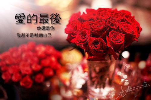 绝症老公装穷后，我打掉孩子转身离开（李清玥霍煜白）最新推荐_最新推荐绝症老公装穷后，我打掉孩子转身离开（李清玥霍煜白）