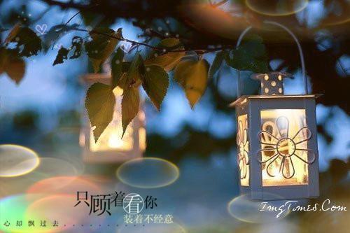 永生花谢，爱意凋零：无删减姜若傅延之叶蓁蓁一口气看完_书荒时期必读情感力作姜若傅延之叶蓁蓁《永生花谢，爱意凋零：无删减》