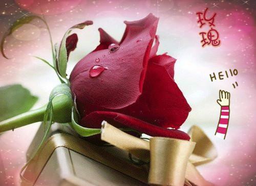 神级系统拔刀亿万次（杨奇张东）已完结，神级系统拔刀亿万次已完结