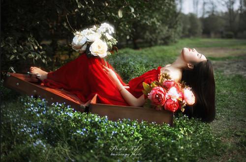 全文浏览她却爱我，昙花一梦：结局+番外高口碑（容怀晏谢初柔）_她却爱我，昙花一梦：结局+番外高口碑（容怀晏谢初柔）全文结局