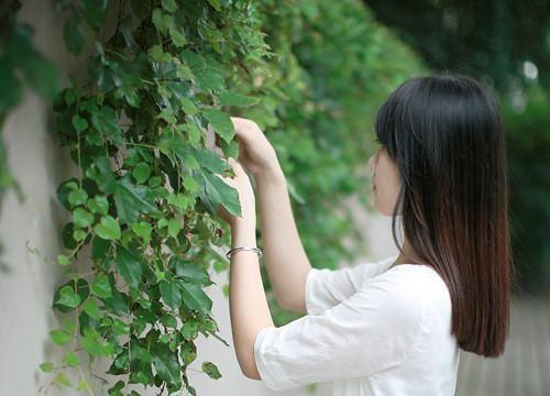 哥哥为陪红颜，害嫂子和我丧命创作出彩（夏夏孟东程晓晓宋易）已完结，哥哥为陪红颜，害嫂子和我丧命创作出彩已完结