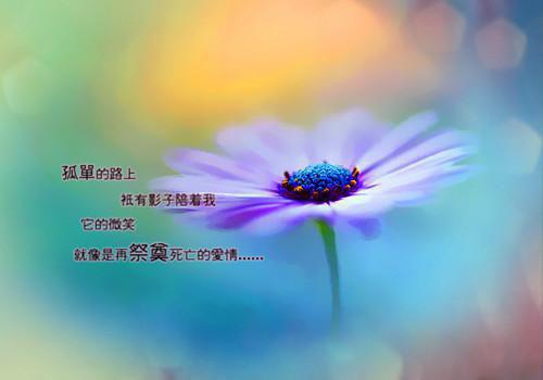 完结文清醒断亲，五个哥哥跪求我回家最新章节列表_完结文清醒断亲，五个哥哥跪求我回家全文免费阅读（方依柠裴枭方岁岁）
