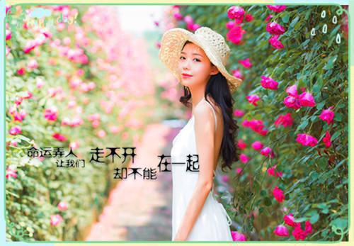 他与深渊共舞：大结局江疏禾迟砚一口气看完_书荒时期必读情感力作江疏禾迟砚《他与深渊共舞：大结局》
